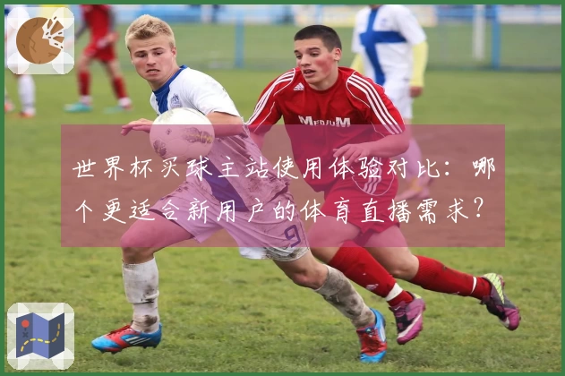 世界杯买球主站使用体验对比：哪个更适合新用户的体育直播需求？