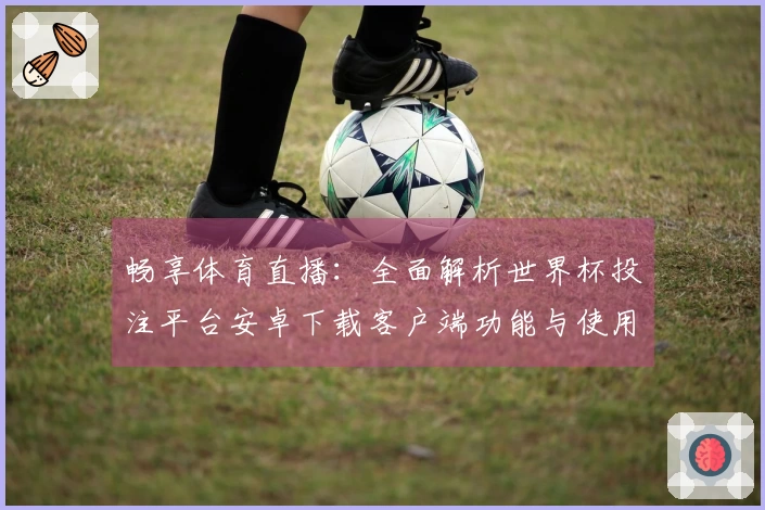 畅享体育直播：全面解析世界杯投注平台安卓下载客户端功能与使用体验