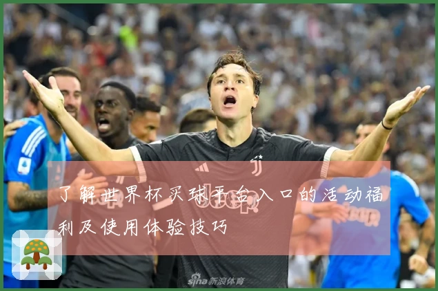 了解世界杯买球平台入口的活动福利及使用体验技巧