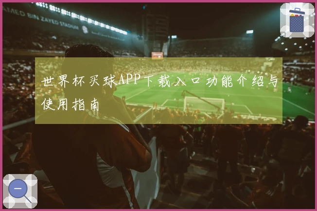 世界杯买球APP下载入口功能介绍与使用指南