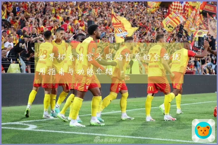 世界杯竞猜官方网站首页的全面使用指南与功能介绍